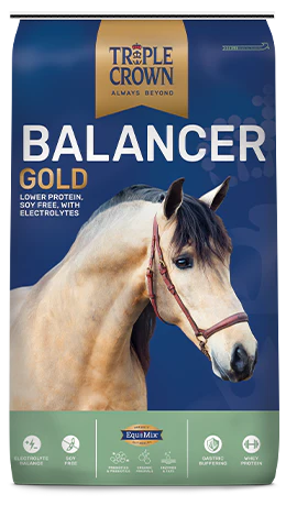 TRIPLE CROWN BALANCER GOLD