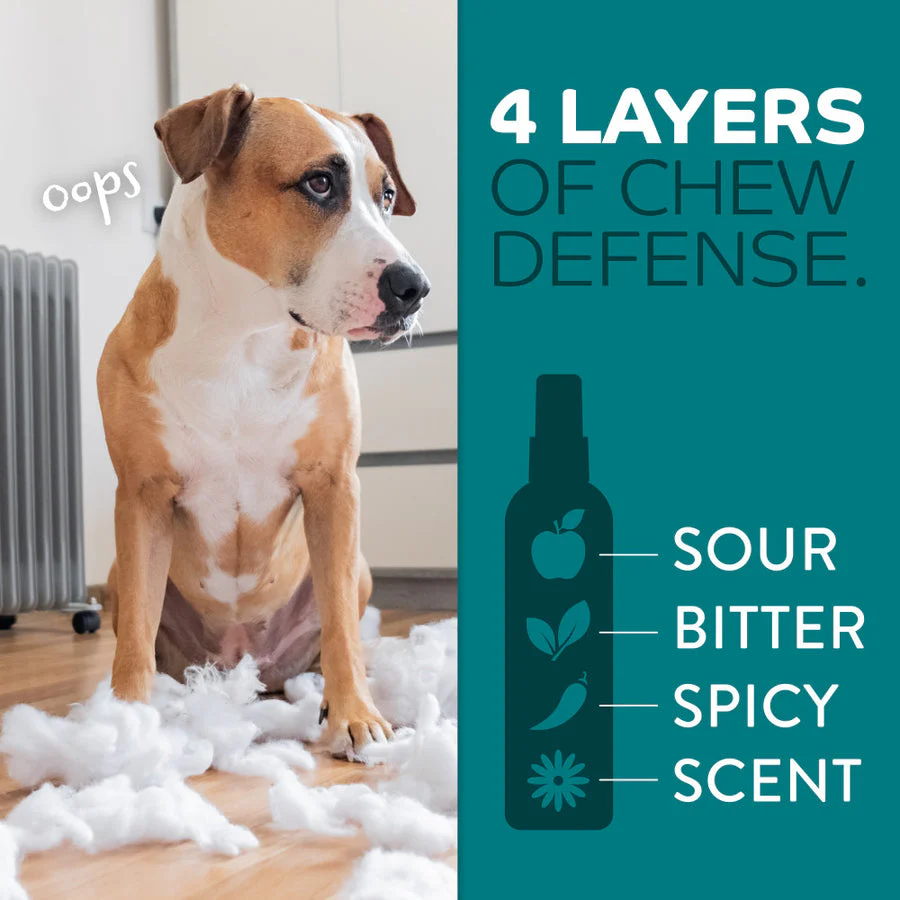 TropiClean Chew Stop Dog Behavior Aid Home Spray 4-In-1 - Image 5