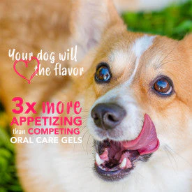 TropiClean Enticers Honey Marinated Chicken Flavor Teeth Cleaning Gel For Dogs - Image 6