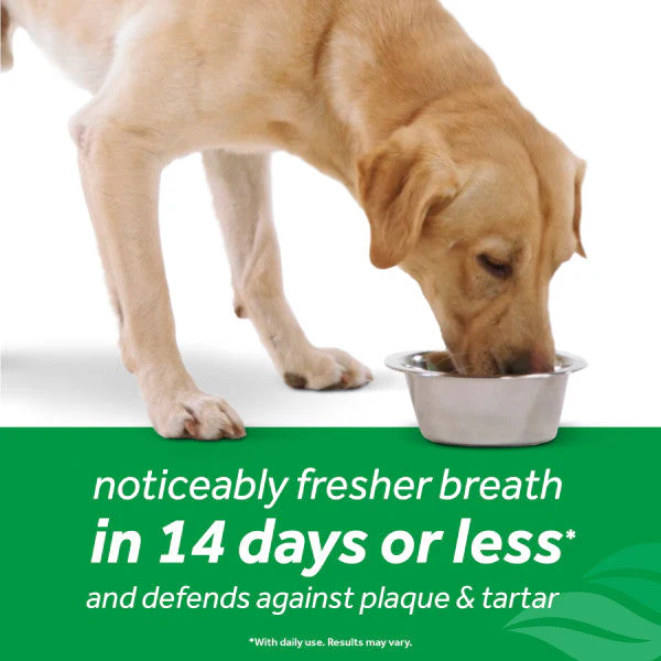 TropiClean Fresh Breath Dental Health Solution Plus Hip & Joint for Dogs - Image 7
