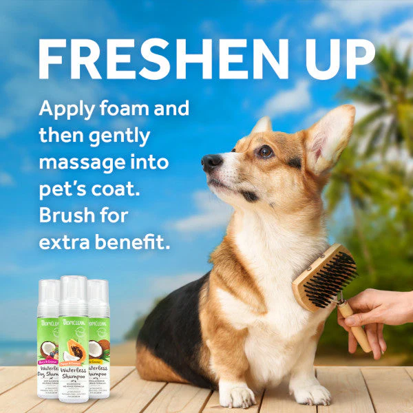 TropiClean Gentle Coconut Hypoallergenic Waterless Shampoo for Pets - Image 5