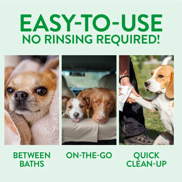 TropiClean Gentle Coconut Hypoallergenic Waterless Shampoo for Pets - Image 7