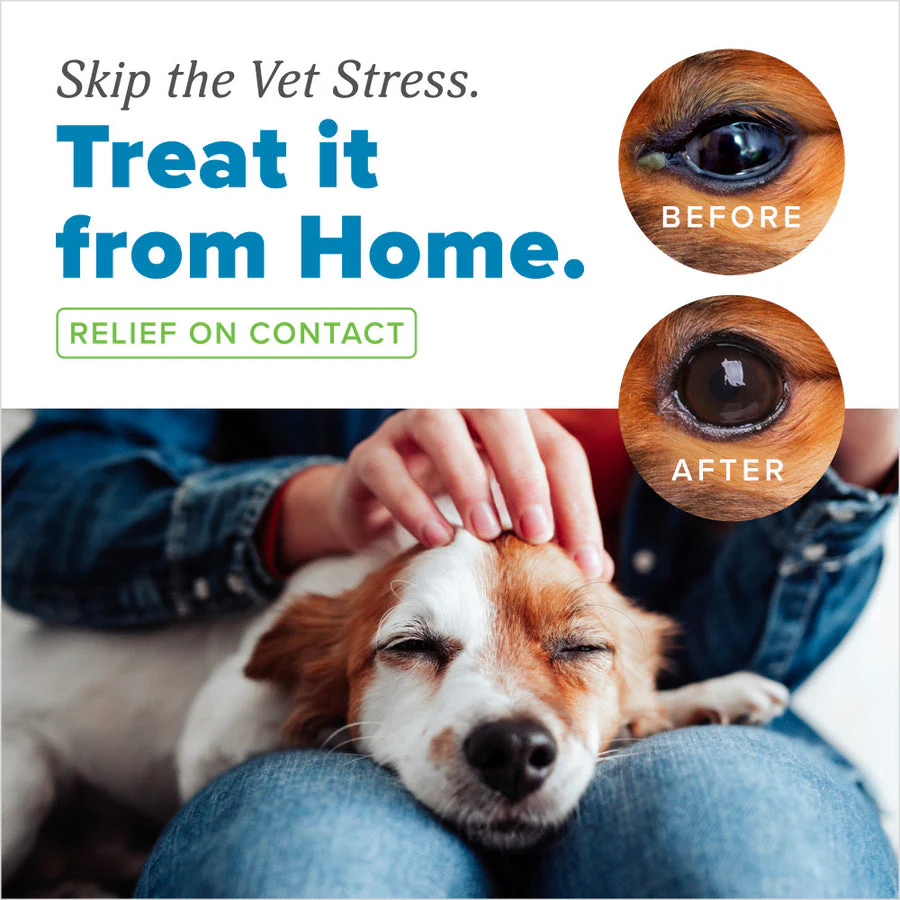 TropiClean HomeVet Soothing Eye Wash for Dogs & Cats - Image 5