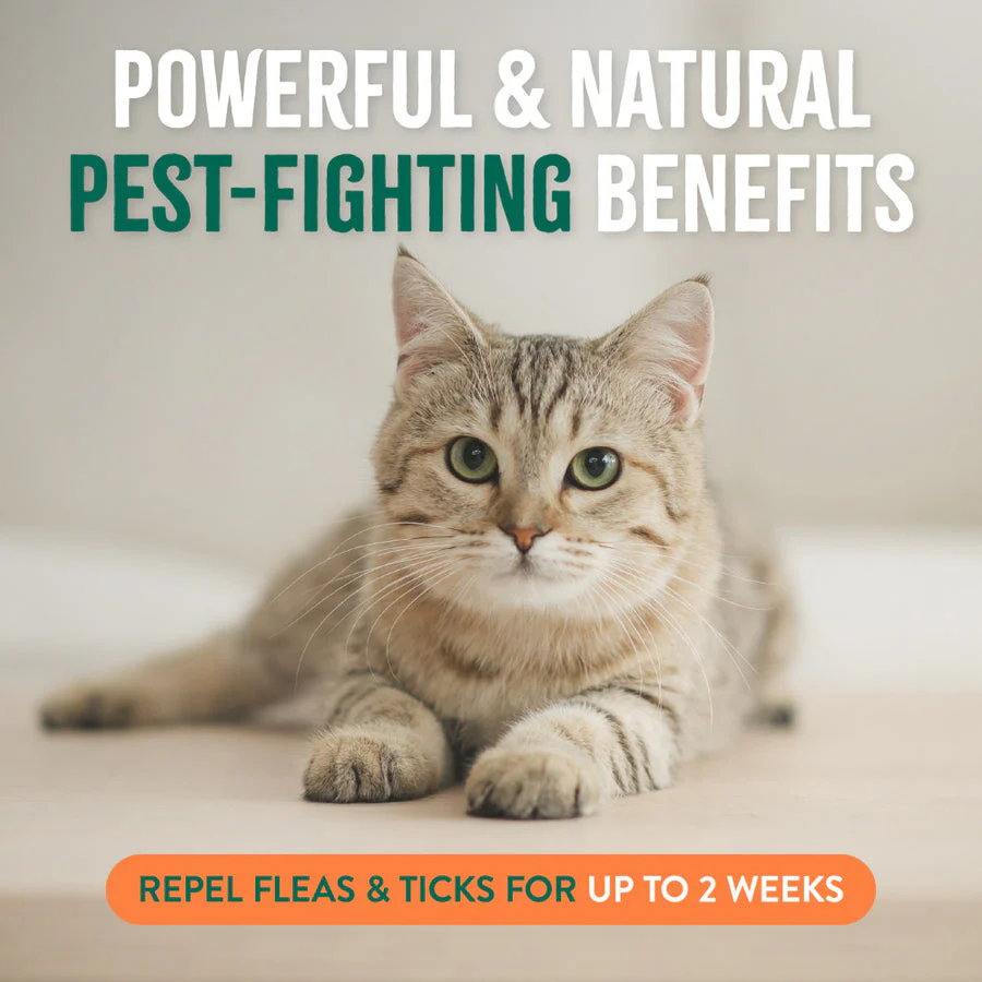 TropiClean Natural Flea + Tick Home + Cat Spray - Image 3