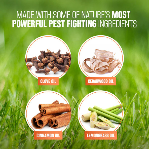 TropiClean Natural Flea & Tick Maximum Strength Shampoo for Dogs - Image 5