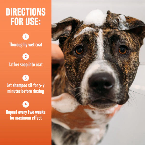 TropiClean Natural Flea & Tick Maximum Strength Shampoo for Dogs - Image 6