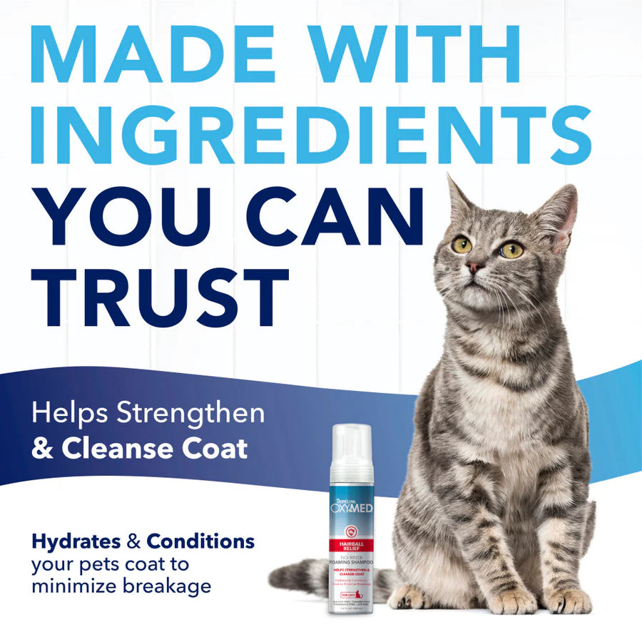 TropiClean OxyMed Waterless Dry Shampoo for Cats - Image 5