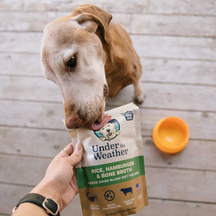 Under the Weather Hamburger, Rice, & Bone Broth Bland Diet For Dogs - Image 7