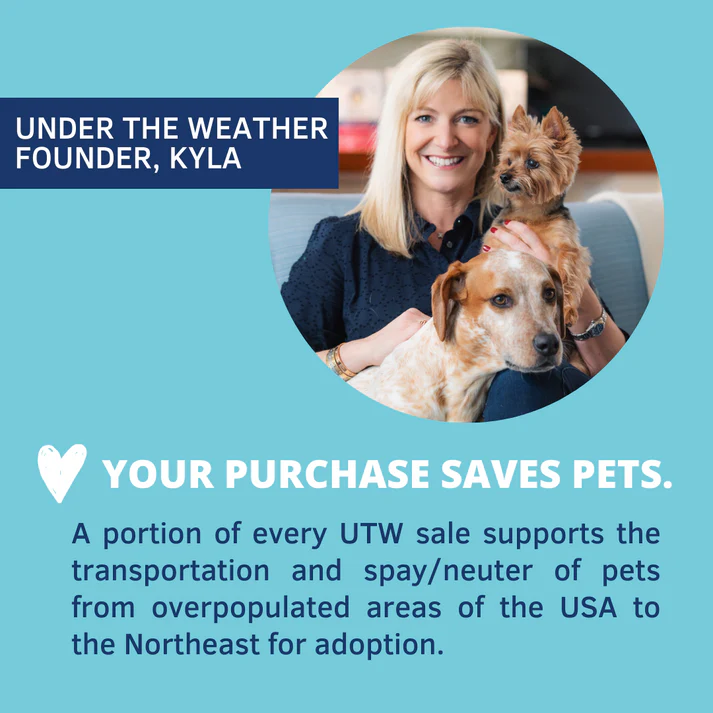 Under the Weather Hamburger, Rice, & Bone Broth Bland Diet For Dogs - Image 8