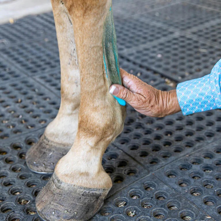 Vetericyn Equine Liniment - Image 3