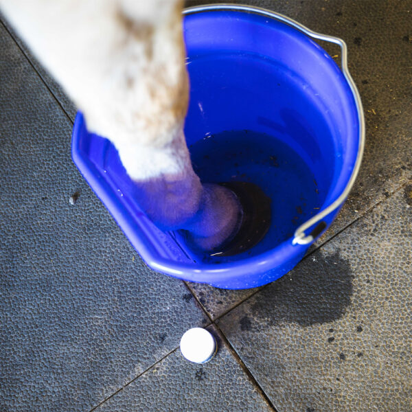 Vetericyn® Hoof Soak - Image 2