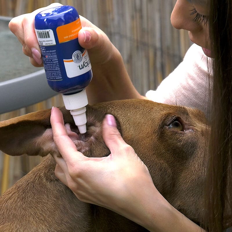 Vetericyn Plus All Animal Ear Rinse - Image 3