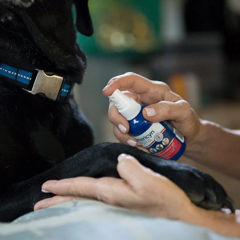 Vetericyn Plus Hot Spot Antimicrobial Gel - Image 3