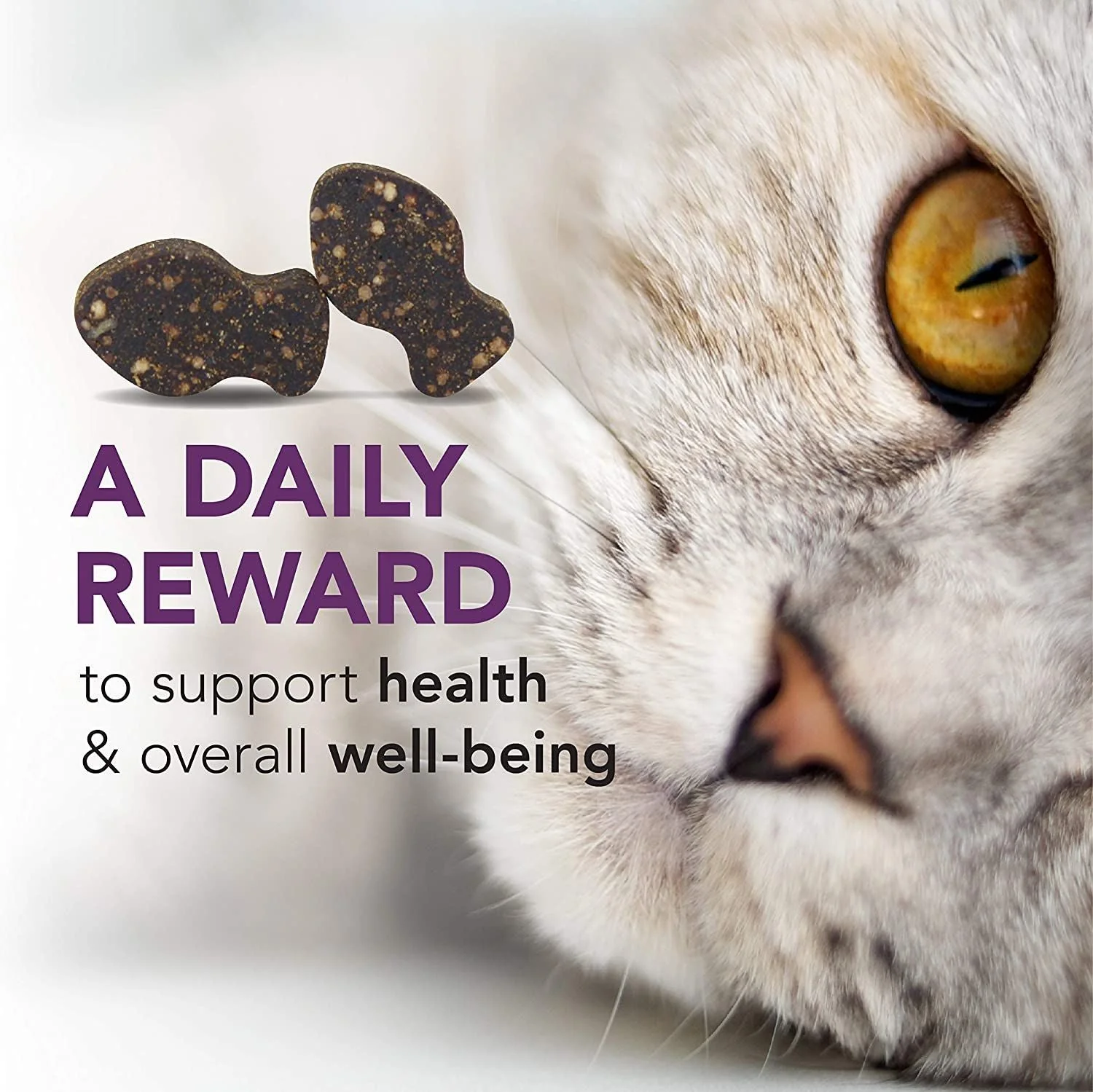 VetriScience Vetri-Lysine Plus Immune Health Bite-Sized Cat Chews - Image 4