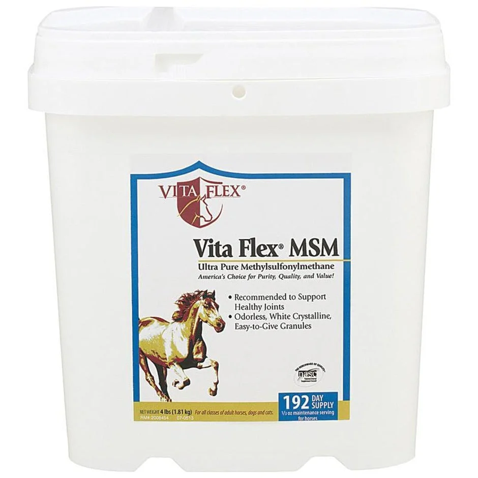 Vita Flex MSM Joint Supplement - Image 4