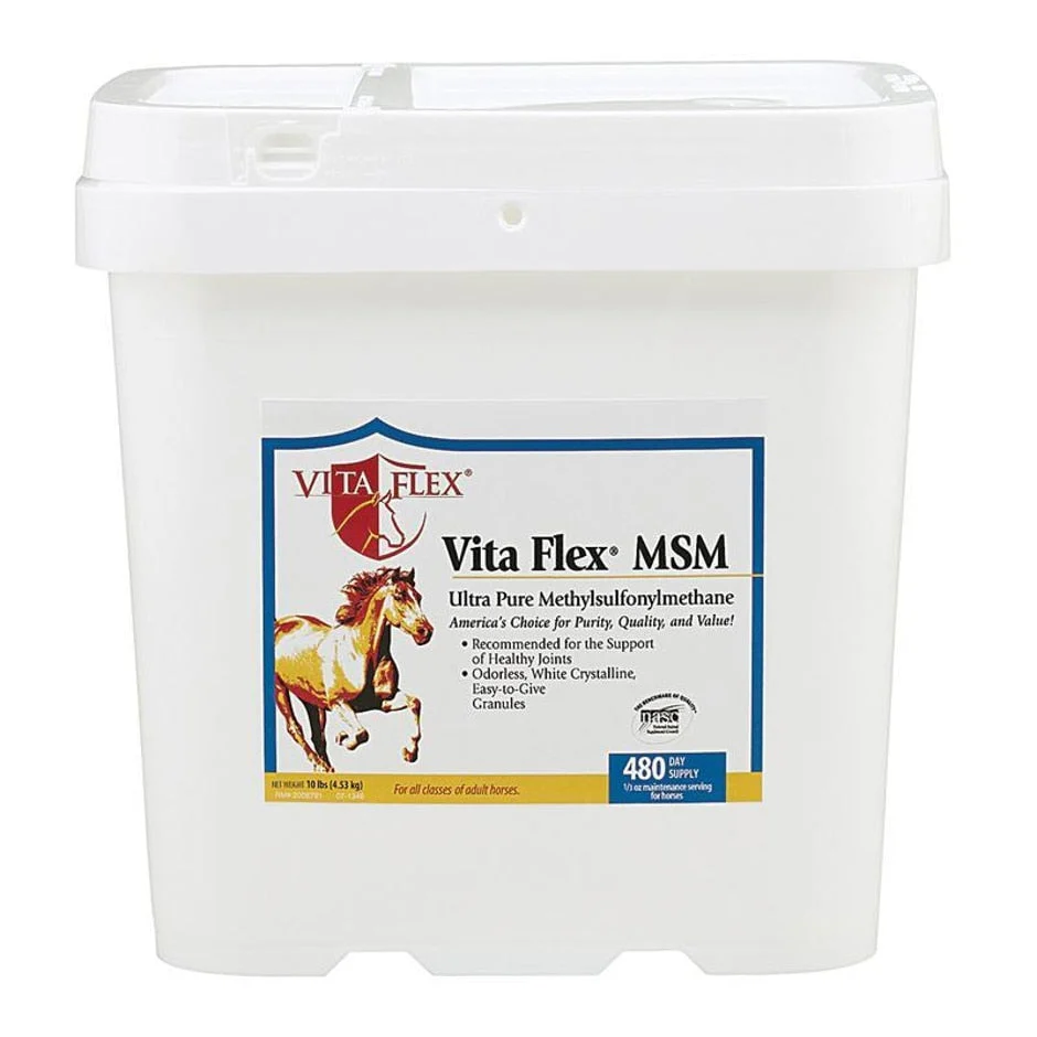 Vita Flex MSM Joint Supplement - Image 5