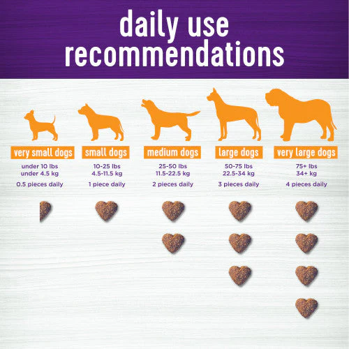 Wellness Shine Skin & Coat Support Soft Chews - Image 4