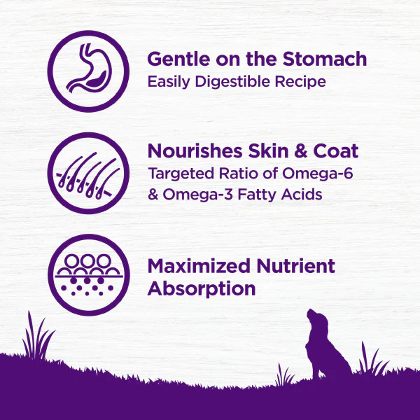 Wellness Complete Health Grain Sensitive Skin & Stomach Salmon & Rice Recipe Dog Food - Image 4