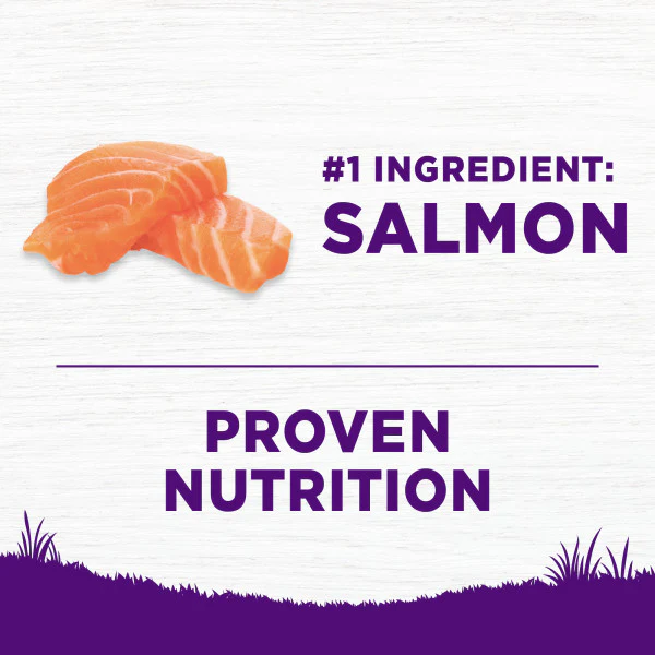 Wellness Complete Health Grain Sensitive Skin & Stomach Salmon & Rice Recipe Dog Food - Image 5