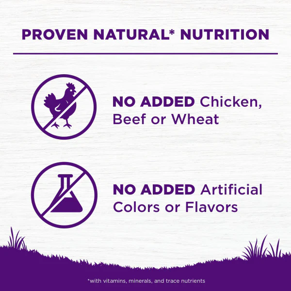 Wellness Complete Health Grain Sensitive Skin & Stomach Salmon & Rice Recipe Dog Food - Image 6