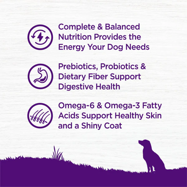 Wellness Complete Health Natural Adult Grain Free Deboned Chicken and Chicken Meal Recipe Dry Dog Food - Image 6