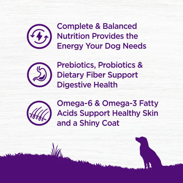 Wellness Complete Health Natural Adult Whitefish and Sweet Potato Recipe Dry Dog Food - Image 4