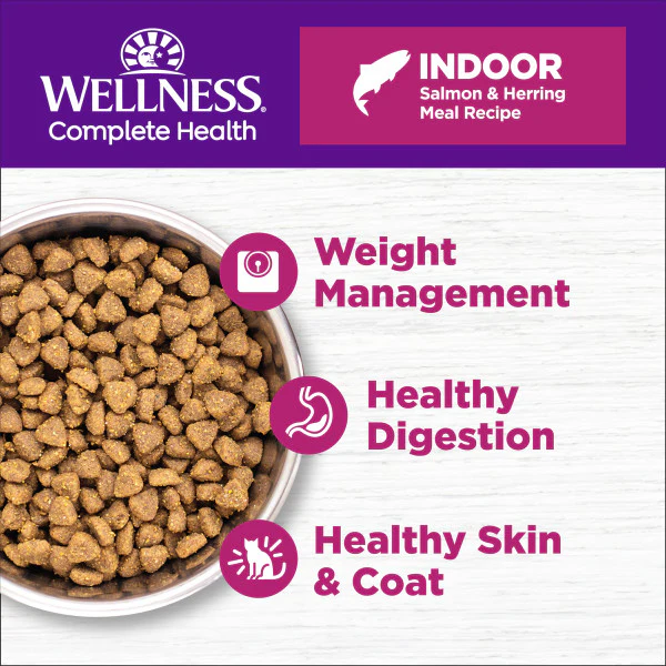 Wellness Complete Health Natural Indoor Adult Grain Free Salmon and Herring Dry Cat Food - Image 4