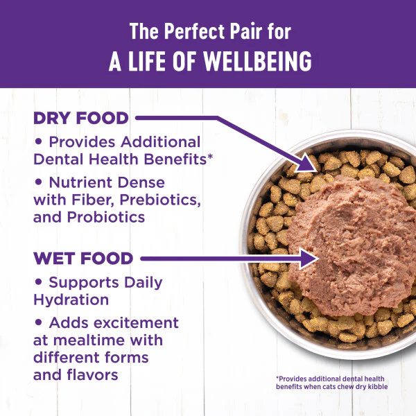 Wellness Complete Health Natural Kitten Grain Free Deboned Chicken and Chicken Meal Dry Cat Food - Image 3