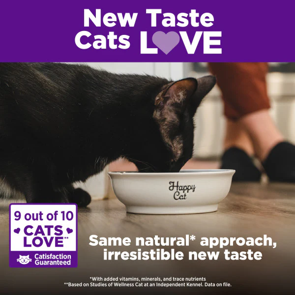 Wellness Complete Health Natural Kitten Grain Free Deboned Chicken and Chicken Meal Dry Cat Food - Image 6
