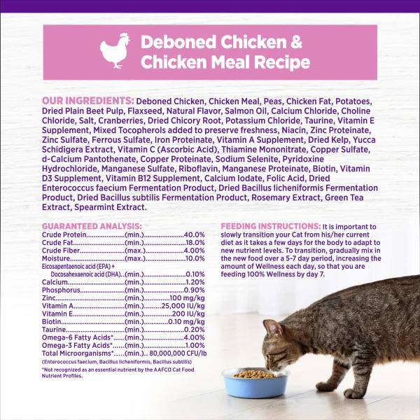 Wellness Complete Health Natural Kitten Grain Free Deboned Chicken and Chicken Meal Dry Cat Food - Image 7
