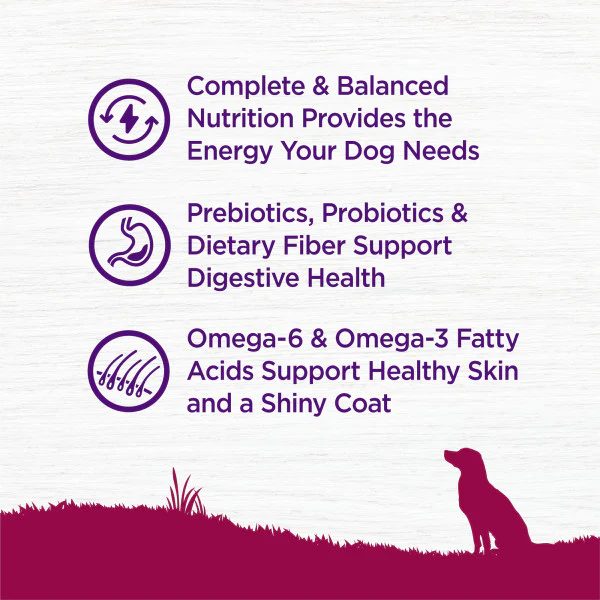 Wellness Complete Health Natural Small Breed Adult Turkey and Oatmeal Recipe Dry Dog Food - Image 6