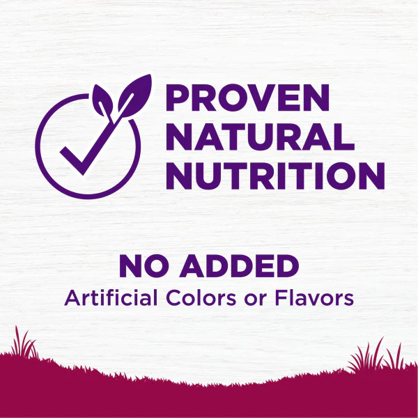 Wellness Complete Health Natural Small Breed Adult Turkey and Oatmeal Recipe Dry Dog Food - Image 7