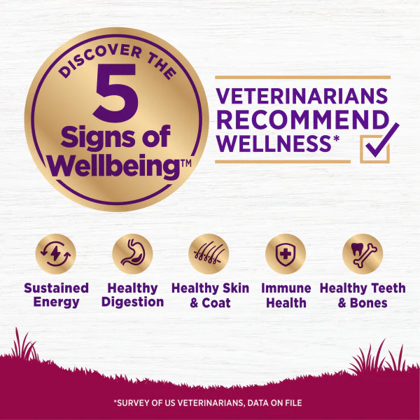 Wellness Complete Health Natural Small Breed Healthy Weight Turkey and Brown Rice Recipe Dry Dog Food - Image 5