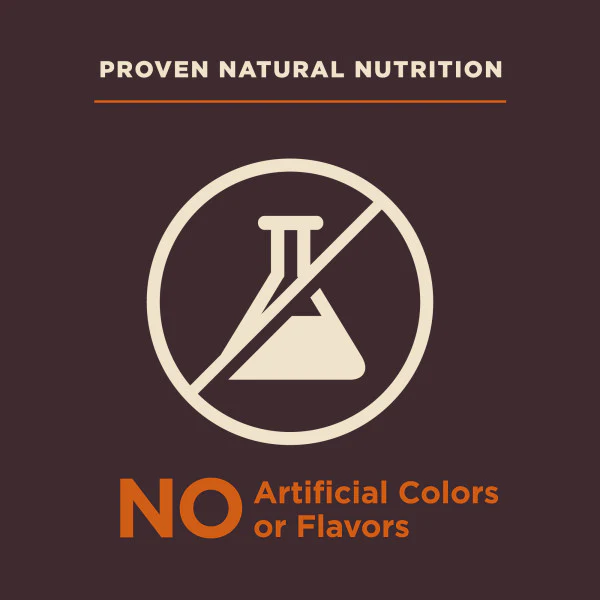 Wellness CORE Digestive Health Chicken & Brown Rice Dog Food - Image 10