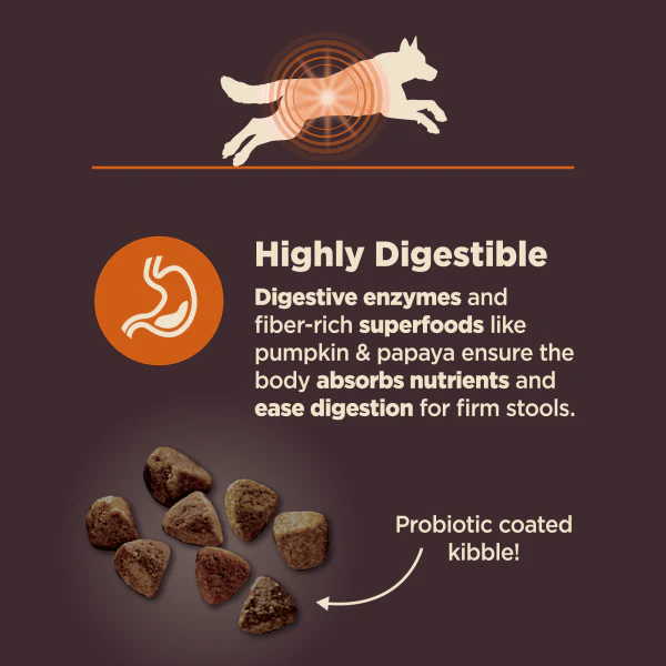 Wellness CORE Digestive Health Chicken & Brown Rice Dog Food - Image 6