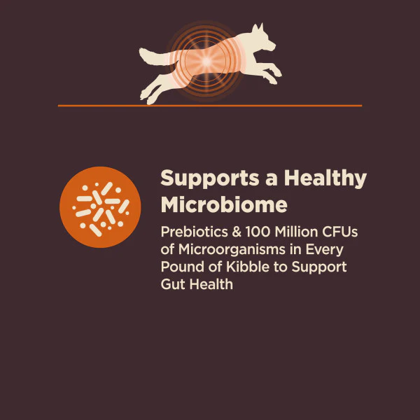 Wellness CORE Digestive Health Chicken & Brown Rice Dog Food - Image 7