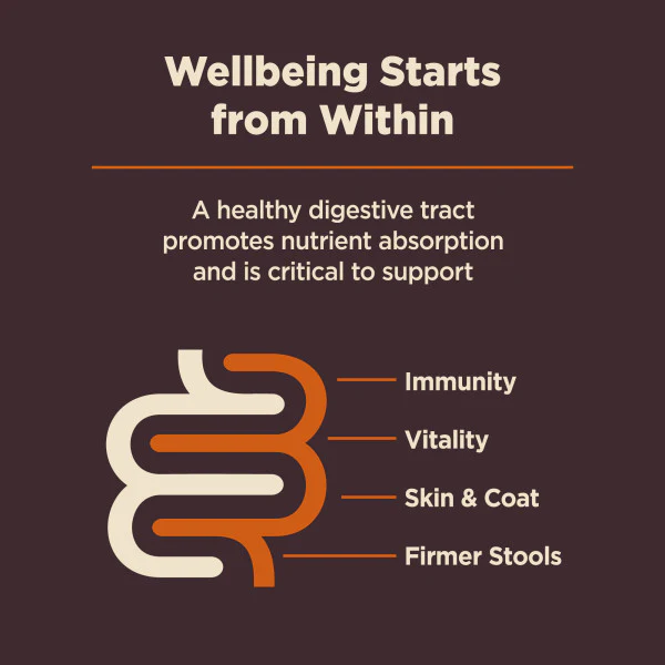 Wellness CORE Digestive Health Chicken & Brown Rice Dog Food - Image 9