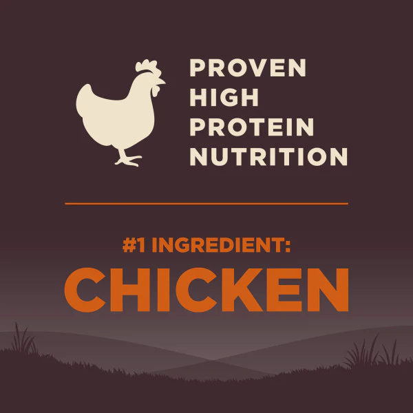 Wellness CORE Grain Free Large Breed Chicken Recipe - Image 5