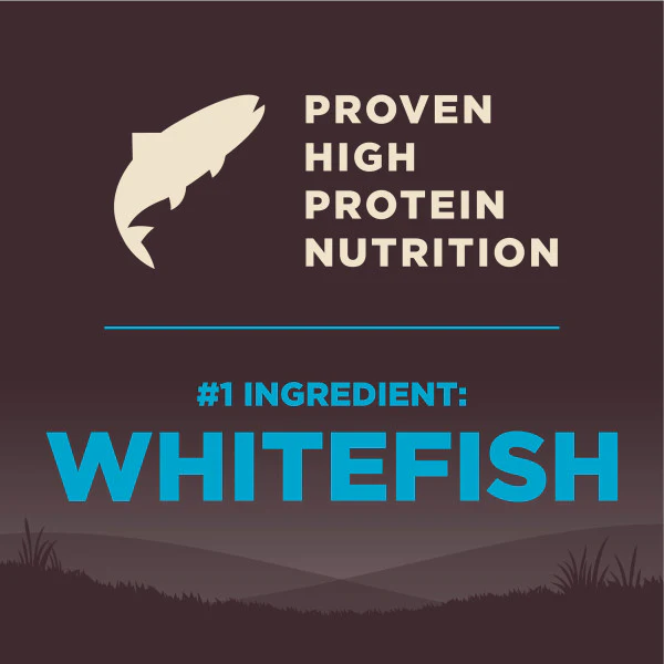 Wellness CORE Natural Grain Free Ocean Whitefish, Herring & Salmon Recipe Dry Dog Food - Image 9