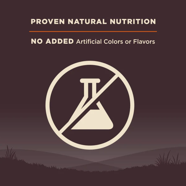 Wellness CORE Natural Grain Free Original Turkey & Chicken Recipe Dry Dog Food - Image 8