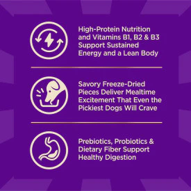 Wellness CORE+ Grain Free Wild Game Duck, Turkey, Boar & Rabbit - Image 4