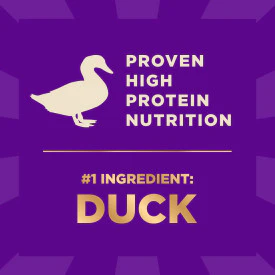 Wellness CORE+ Grain Free Wild Game Duck, Turkey, Boar & Rabbit - Image 6