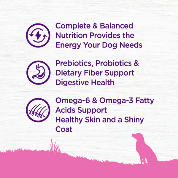 Wellness Toy Breed Complete Health Adult Deboned Chicken, Brown Rice & Peas Recipe Dry Dog Food - Image 4