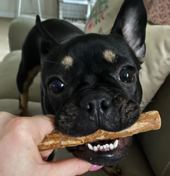 Whimzees Veggie Sausage Dental Chew Dog Treats - Image 6