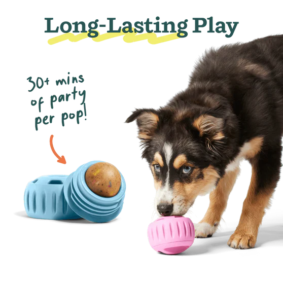 Woof Birthday Pops - Image 3