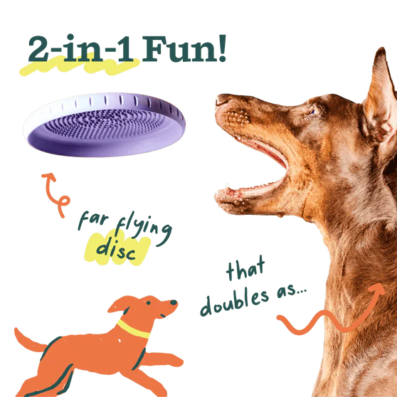 Woof Fly n' Feed Dog Toy - Image 4