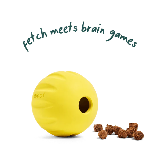 Woof Flyball Dog Toy