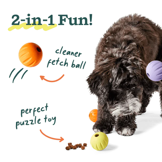 Woof Flyball Dog Toy - Image 2