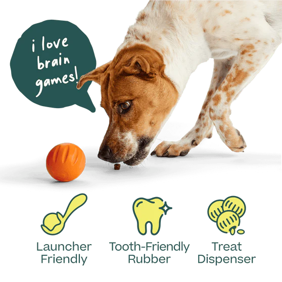Woof Flyball Dog Toy - Image 5