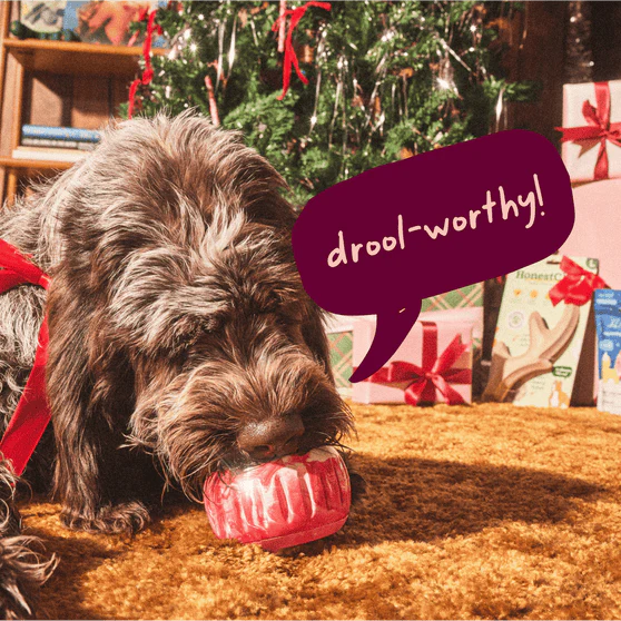 Woof Jingle Pops Dog Treats - Image 5